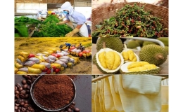 Gi&aacute; trị gia tăng c&aacute;c sản phẩm n&ocirc;ng nghiệp kỳ vọng đạt tr&ecirc;n 4%