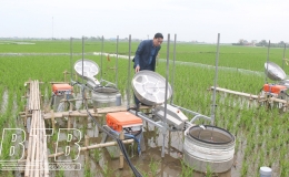 Hiệu quả canh t&aacute;c l&uacute;a giảm ph&aacute;t thải kh&iacute; nh&agrave; k&iacute;nh ở Ph&uacute; Lương