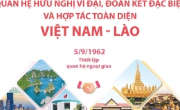 Quan hệ hữu nghị vĩ đại, đo&agrave;n kết đặc biệt v&agrave; hợp t&aacute;c to&agrave;n diện Việt Nam - L&agrave;o