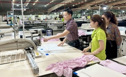 Thi đua &ldquo;Lao động giỏi, lao động s&aacute;ng tạo&rdquo;