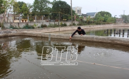 Tiền Hải: Xuống giống thủy sản vụ xu&acirc;n h&egrave;