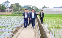 Tập đo&agrave;n ThaiBinh Seed đẩy mạnh ứng dụng khoa học c&ocirc;ng nghệ trong nghi&ecirc;n cứu, ph&aacute;t triển giống c&acirc;y trồng