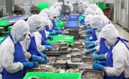 Việt Nam lọt top 4 đối t&aacute;c lớn nhất xuất khẩu thủy sản v&agrave;o Singapore