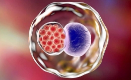 Việt Nam nằm trong 21 quốc gia thanh to&aacute;n th&agrave;nh c&ocirc;ng bệnh mắt hột