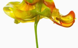 Kỳ lạ hoa l&agrave;m từ những giọt sơn rơi