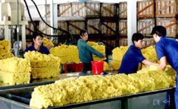 Xuất khẩu sang Ấn Độ đạt hơn 780 triệu USD

