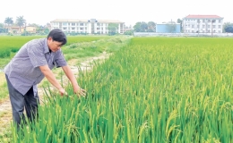 Thanh C&aacute;ch học v&agrave; l&agrave;m theo gương B&aacute;c