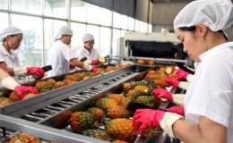 Xuất khẩu rau quả th&aacute;ng 5 khởi sắc tăng 38% về gi&aacute; trị