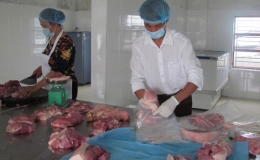 Trung Quốc chưa đồng &yacute; nhập khẩu thịt lợn của Việt Nam