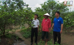 Đ&ocirc;ng Ho&agrave;ng: L&agrave;m theo gương B&aacute;c