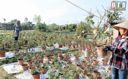 San sẻ nghĩa t&igrave;nh bằng m&ocirc; h&igrave;nh tiết kiệm