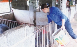 Tiền Hải: T&iacute;n dụng ch&iacute;nh s&aacute;ch đồng h&agrave;nh c&ugrave;ng người ngh&egrave;o