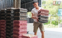 Hội N&ocirc;ng d&acirc;n th&agrave;nh phố: Nhiều m&ocirc; h&igrave;nh hợp t&aacute;c  hoạt động hiệu quả