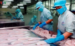 C&aacute; tra Việt Nam bị &aacute;p thuế chống b&aacute;n ph&aacute; gi&aacute; tại Mỹ