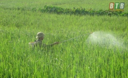 Bệnh đạo &ocirc;n cổ b&ocirc;ng diễn biến phức tạp