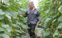 Quỳnh Phụ: Phấn đấu gieo cấy 11.500 ha l&uacute;a m&ugrave;a