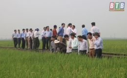 Quỳnh Phụ: Hội nghị trao đổi kinh nghiệm sản xuất vụ xu&acirc;n