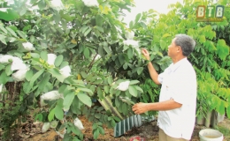 Những tấm gương l&agrave;m theo lời B&aacute;c