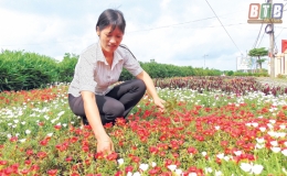 Vũ Thư: Học v&agrave; l&agrave;m theo B&aacute;c