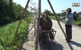 Vũ Thư phát huy hi&ecirc;̣u quả hoạt đ&ocirc;̣ng của lực lượng quản lý đ&ecirc; nh&acirc;n d&acirc;n