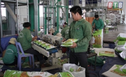 X&acirc;y dựng thương hiệu gạo Việt tr&ecirc;n nền tảng chữ &ldquo;T&acirc;m&rdquo;