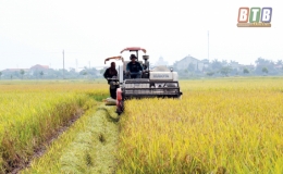 B&aacute;c về - đất nở hoa