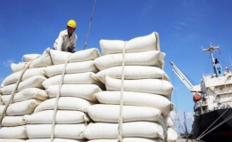 Gi&aacute; gạo Việt Nam cao nhất trong v&ograve;ng 1 năm