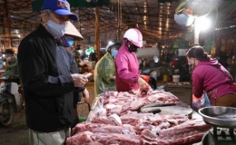 Gi&aacute; lợn hơi tăng mạnh, gần 100.000 đồng/kg