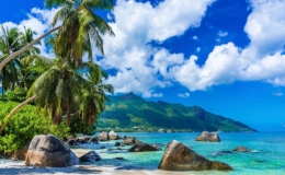 Những miền nhiệt đới xanh tươi tr&ecirc;n khắp h&agrave;nh tinh