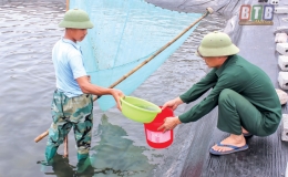 Th&aacute;i Thụy: Nu&ocirc;i thả vụ t&ocirc;m xu&acirc;n h&egrave;