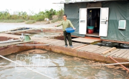 Để nghề nu&ocirc;i c&aacute; lồng ph&aacute;t triển bền vững