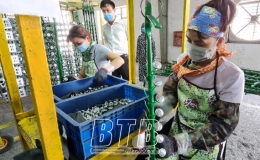 Kim ngạch xuất khẩu 5 th&aacute;ng đầu năm tăng 23,5%