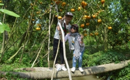 Phấn đấu đến năm 2025, Đồng Th&aacute;p c&oacute; 90% x&atilde; đạt chuẩn n&ocirc;ng th&ocirc;n mới