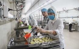 Ph&aacute;t triển n&ocirc;ng nghiệp h&agrave;ng h&oacute;a tập trung