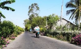 Qu&ecirc; ngh&egrave;o khởi sắc