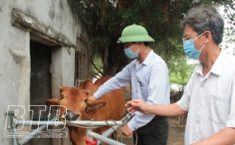 Ti&ecirc;m ph&ograve;ng vắc xin - biện ph&aacute;p ngăn chặn dịch vi&ecirc;m da nổi cục 