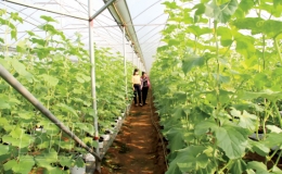 Cần v&agrave; kiệm