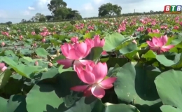 Đưa du lịch sinh th&aacute;i về n&ocirc;ng th&ocirc;n