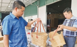 Kết hợp thế mạnh c&aacute;c l&agrave;ng nghề để ph&aacute;t triển