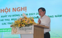 Năng suất l&uacute;a vụ đ&ocirc;ng xu&acirc;n ước đạt 62,7 tạ/ha