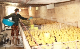 Thu tiền tỷ từ m&ocirc; h&igrave;nh VAC