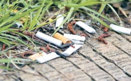 Thuốc l&aacute; - mối nguy tiềm t&agrave;ng với m&ocirc;i trường