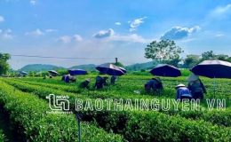 X&acirc;y dựng n&ocirc;ng th&ocirc;n mới kiểu mẫu: Minh Lập (Th&aacute;i Nguy&ecirc;n) &ldquo;đi sau về trước&rdquo;