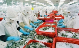 5 th&aacute;ng, xuất khẩu n&ocirc;ng, l&acirc;m, thủy sản giảm hơn 11%