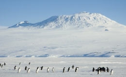 &Acirc;́n tượng 6 cảnh quan thi&ecirc;n nhi&ecirc;n đ&ocirc;̣c đáo và kỳ lạ nh&acirc;́t th&ecirc;́ giới