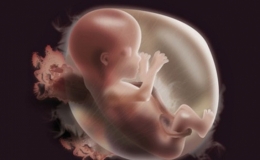 Ảnh hưởng của việc tiếp x&uacute;c thụ động với sol kh&iacute;/kh&oacute;i