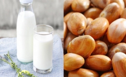 C&aacute;ch l&agrave;m sữa hạt m&iacute;t b&eacute;o ngậy, lạ miệng