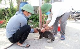 Chỉ thị về việc tăng cường c&aacute;c biện ph&aacute;p cấp b&aacute;ch ph&ograve;ng, chống bệnh Dại