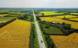 Ch&iacute;nh phủ ban h&agrave;nh Nghị quyết về việc uỷ quyền quyết định gi&aacute; đất cụ thể