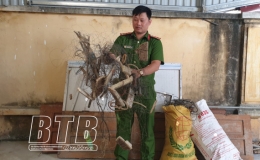 Diệt chuột hay &ldquo;diệt&rdquo; người?   